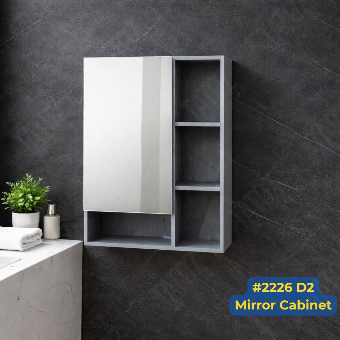 #2226 D2 Mirror Cabinet